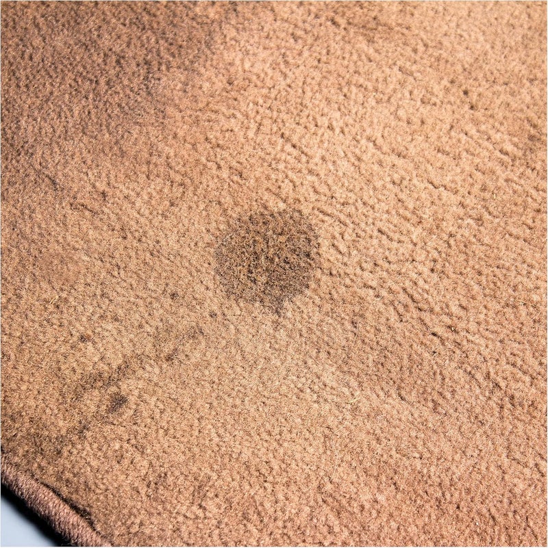 GRIOTS GARAGE Foaming Carpet and Upholstery Cleaner for Car Floor Mats, Vinyl, Plastic, Micro Fiber Seats, and Pet Stains, 11298, 19oz - Image 1